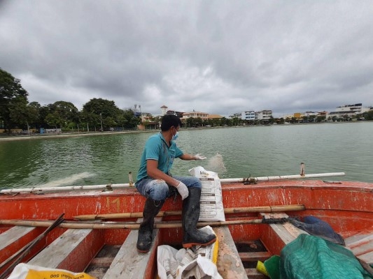 240158702_4428714770525640_561366012199274908_n (Custom)