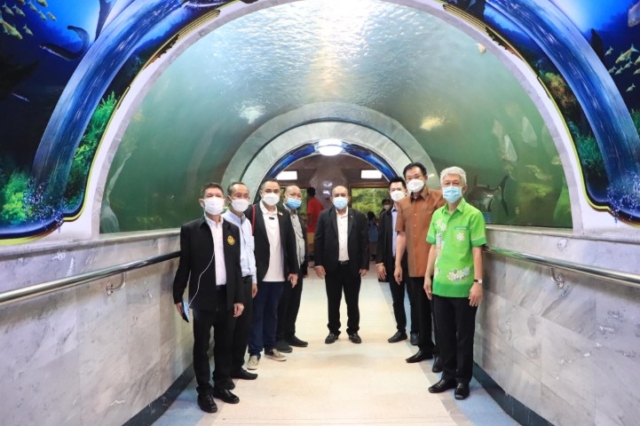 250090560_4636188589778256_7274624716781006826_n (Small)