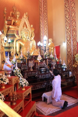 251348449_4653738568023258_329 (Small)