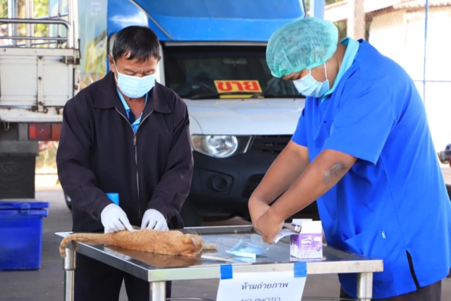 272056643_4917033501693762_4622659743